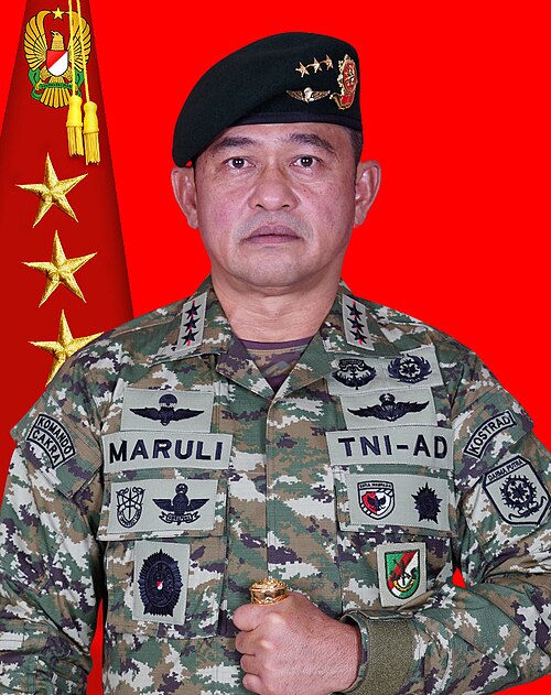 Tandyo Budi Revita Jadi KSAD, Maruli Wakil Panglima TNI