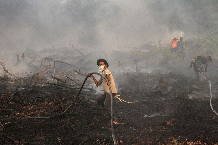 BMKG: Asap Karhutla Terdeteksi di Atmosfer Jakarta, Cek Kualitas Udara