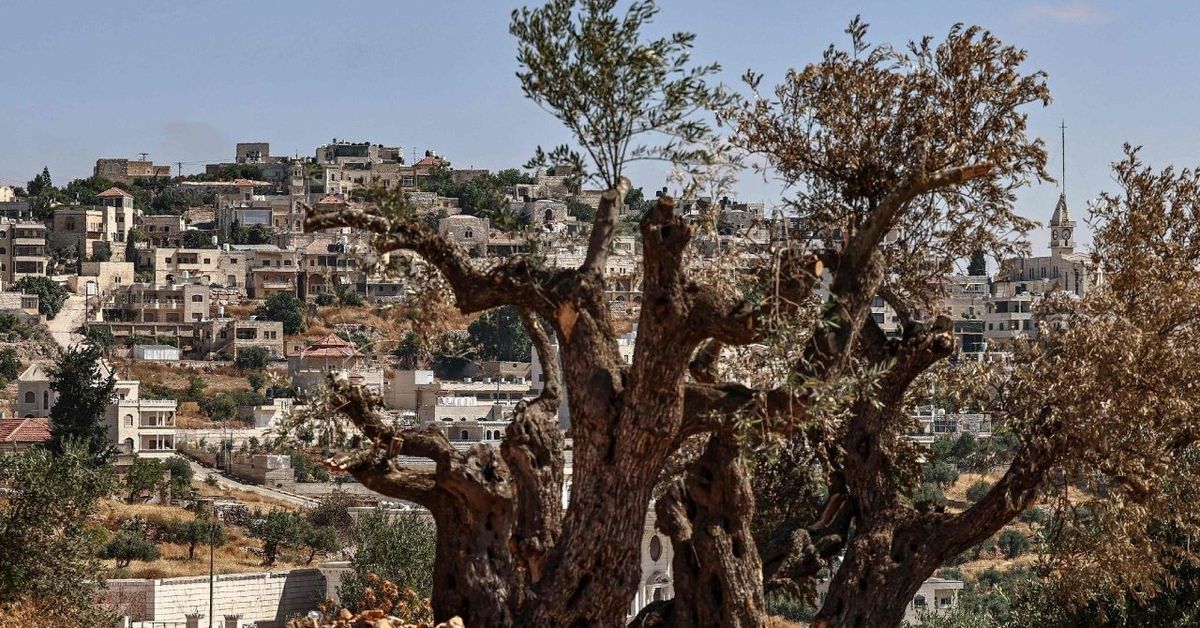 Pemukim Israel Serang Rombongan Diplomat Eropa di Tepi Barat