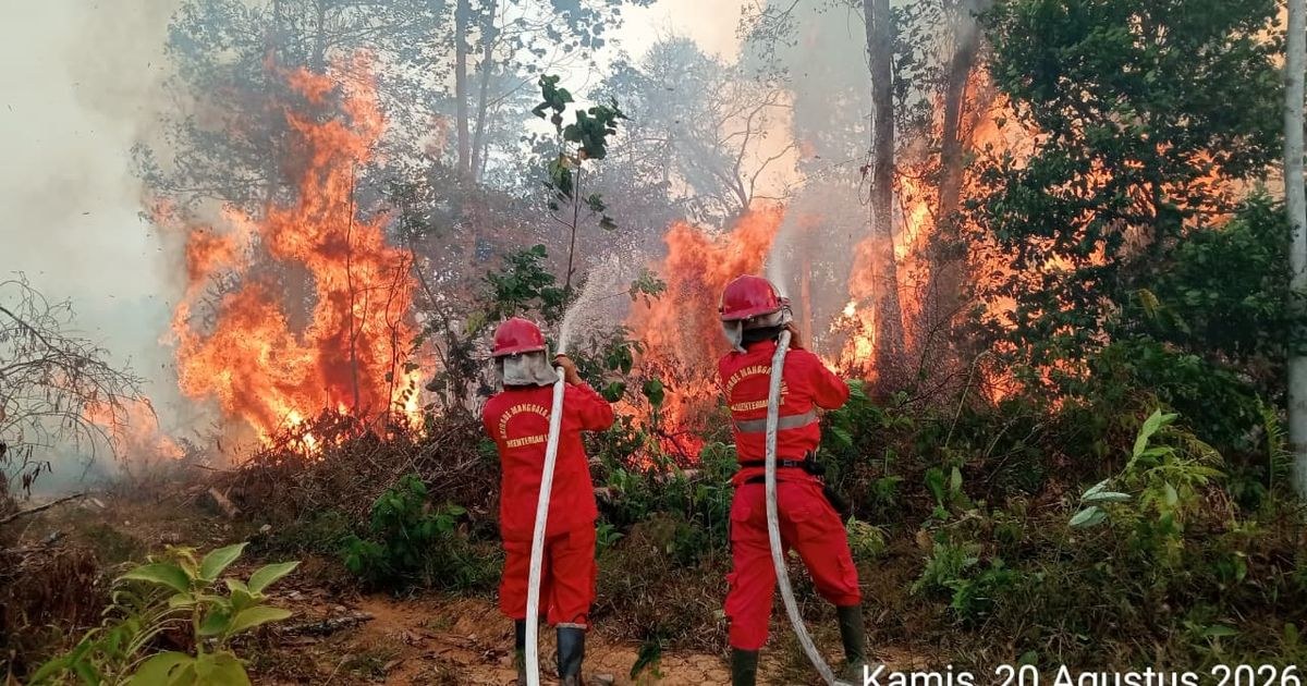 Singapura Ancam Pidana 7 Perusahaan Indonesia Pemicu Kabut Asap