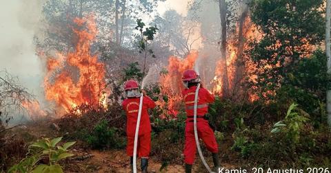 Incendios en Indonesia generan la mayor emisión de carbono del mundo
