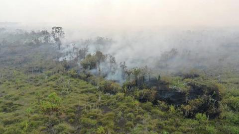 33.425 Hotspot Karhutla Terdeteksi Selama Oktober, OKI Terbanyak