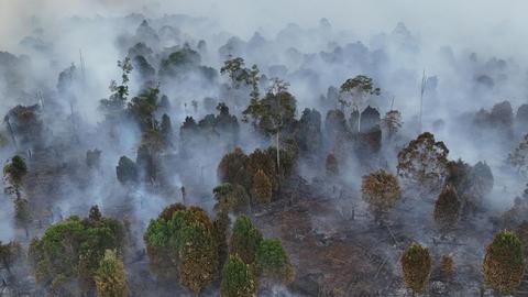 Police Chief Reveals Foreign Ties in Wildfires, 98 Cases Under Probe