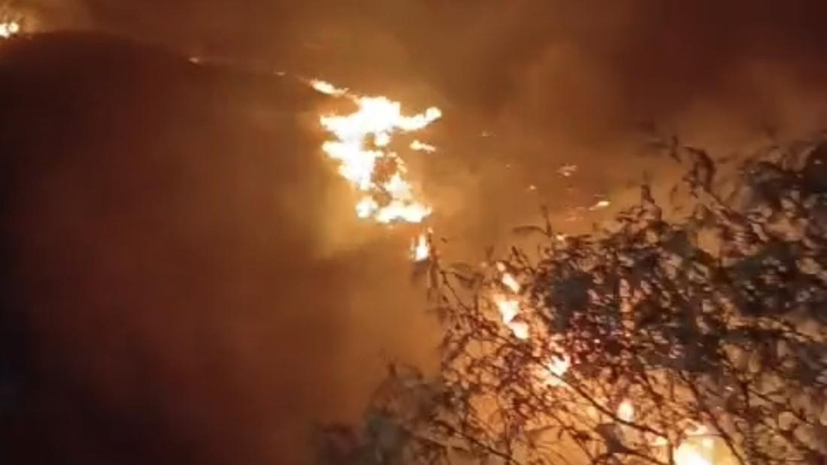 152 Pendaki Dievakuasi saat Hutan Gunung Sumbing Wonosobo Terbakar