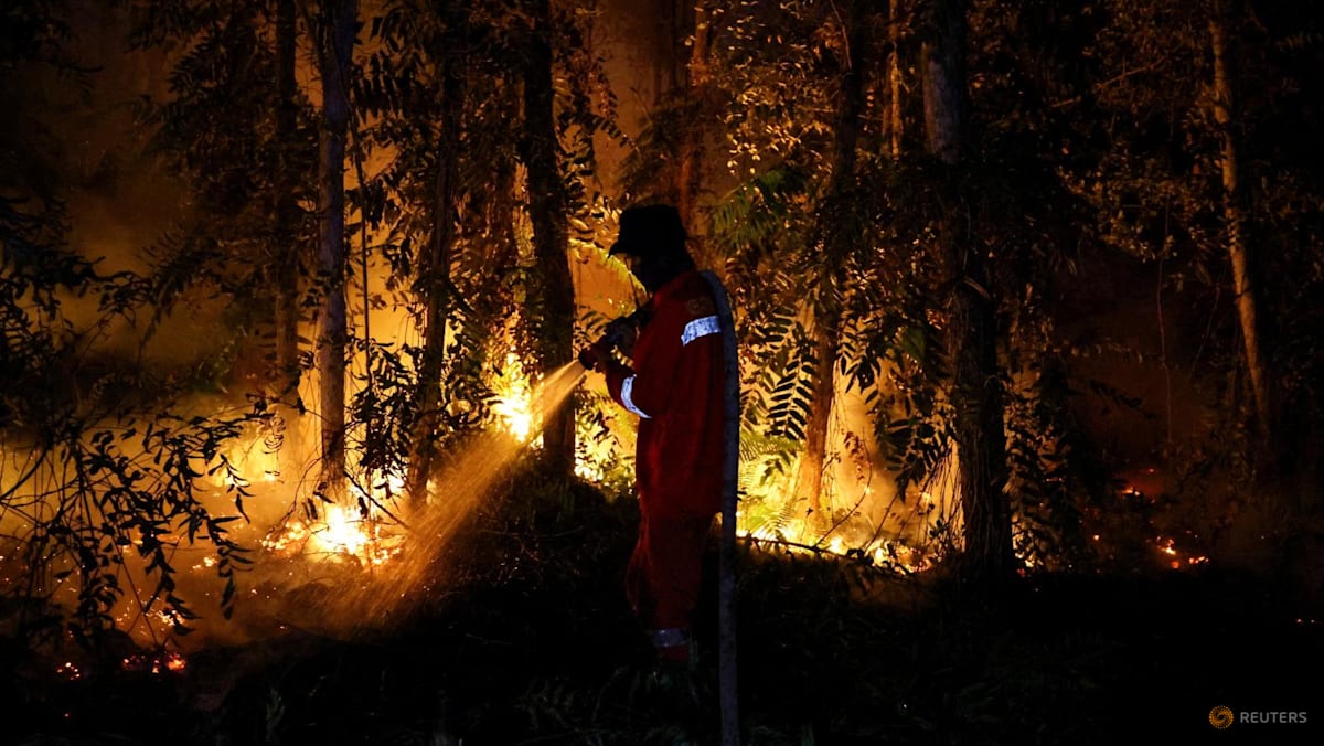 Police Name 11 Firms Forest Fire Suspects, Including 3 Foreign Cos
