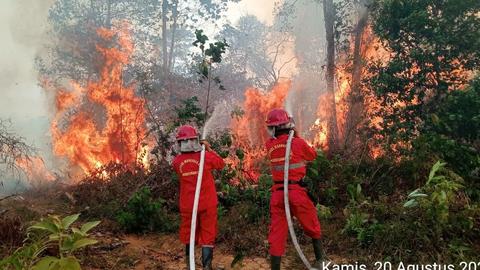 Prabowo Ancam Cabut Konsesi Pelanggar Karhutla hingga 19 Kali