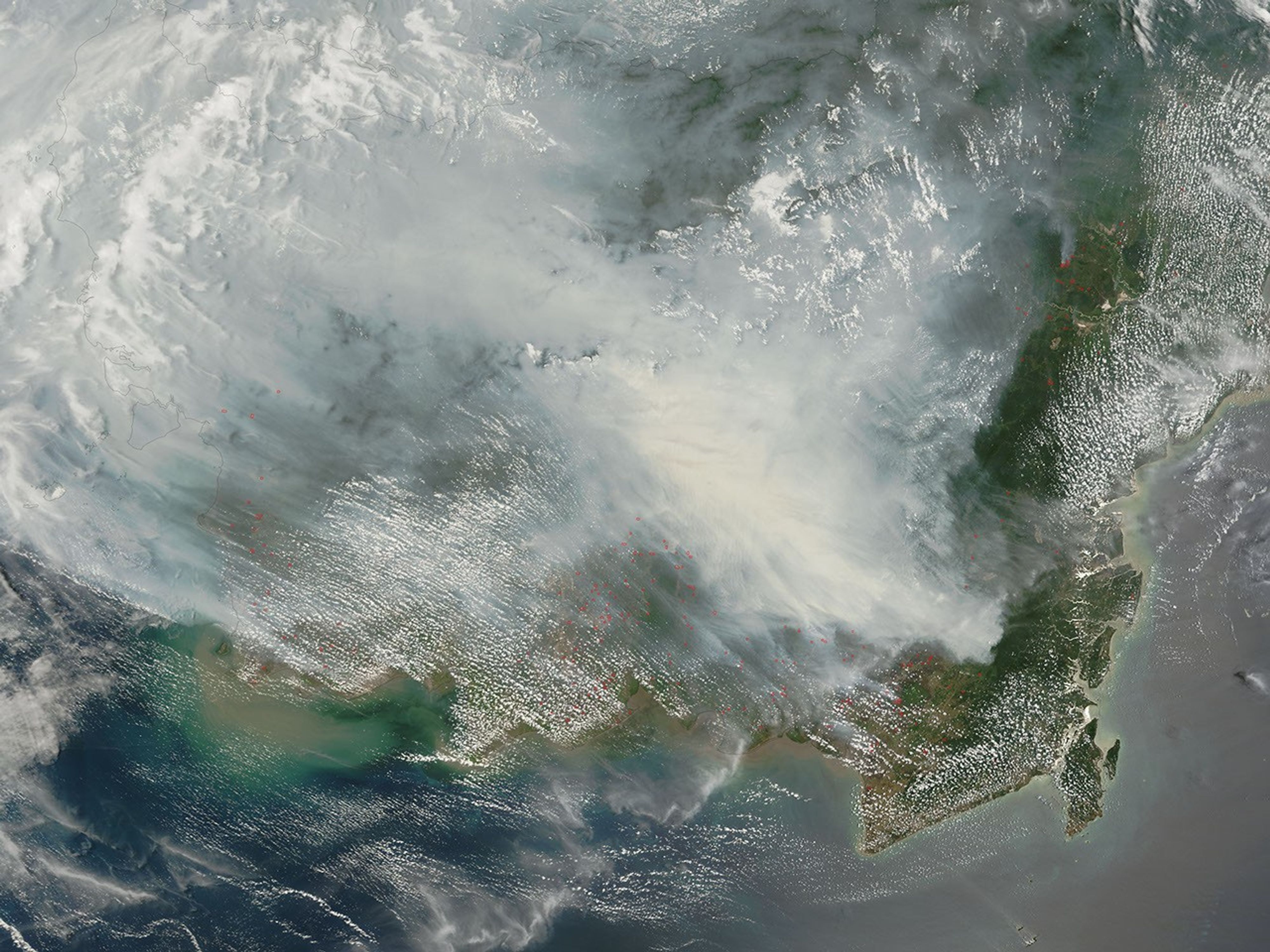 BMKG: el humo de los incendios forestales de Kalimantan entra en la…