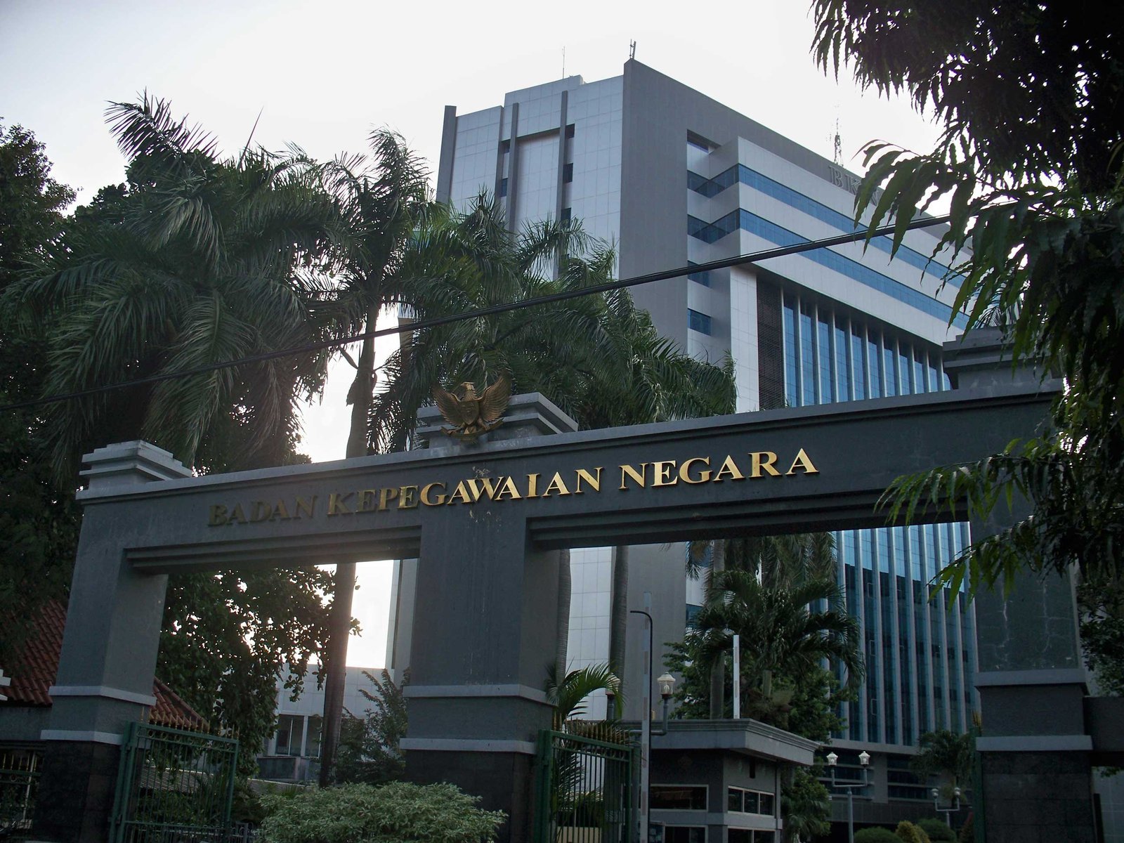 Cara Daftar CPNS: Syarat, Dokumen, dan Alur Pendaftaran SSCASN
