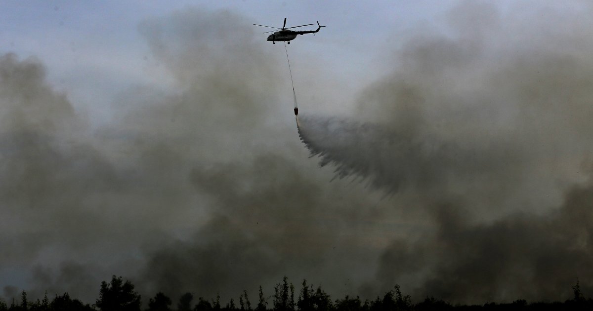 House Presses Prabowo to Act Fast on Forest Fires: 277,000 ARI Cases