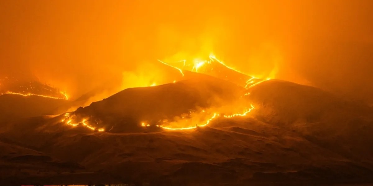 Gunung Arjuno Terbakar, Api Terlihat dari Tol Malang-Pasuruan