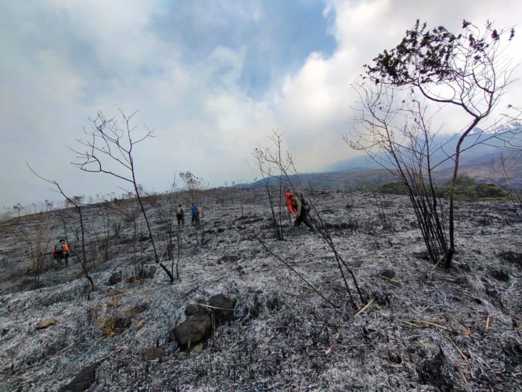Gunung Arjuno Terbakar, Api Terlihat dari Tol Malang-Pasuruan