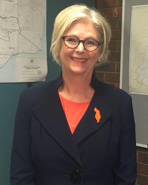 MP Australia Helen Haines kritis usai ditabrak mobil di Wangaratta