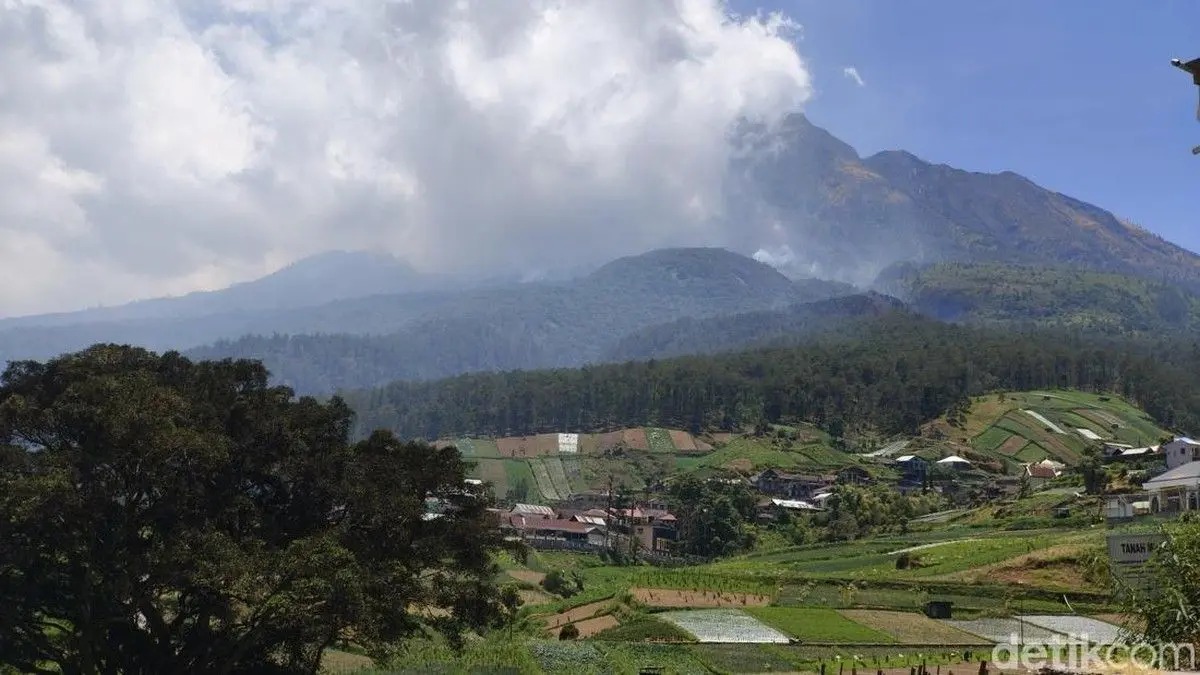 Mount Lawu Wildfire Hits 100 Hectares, Emergency Status Being Processed