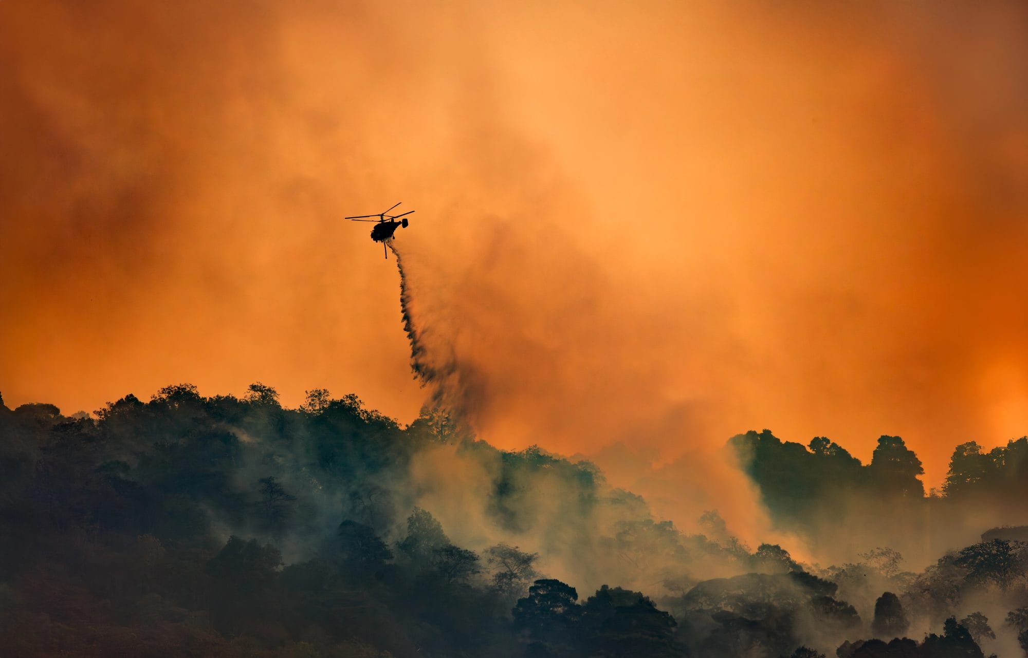Indonesia Forest Fires Reach ASEAN Level: Anwar Proposes Joint Body